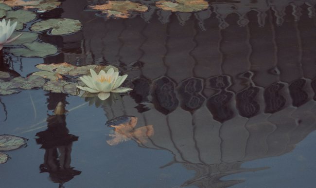 ADM_Blog-reasonsto_header