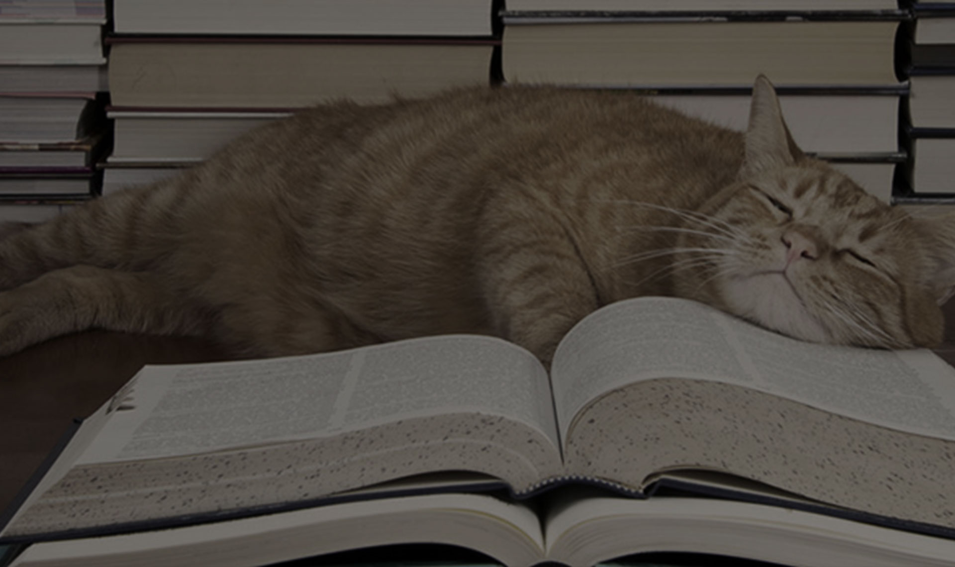 Another 9 Reasons Your Content is Boring | addmustard
