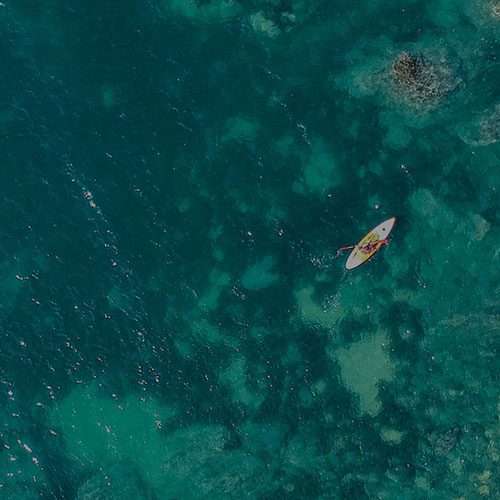 ADM_NEI-case-study_feature