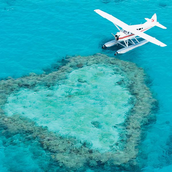 TLT_Case-study_feature_addmustard